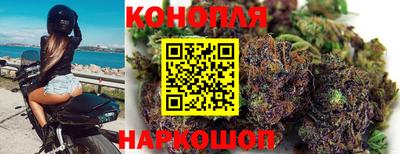 дживик Жуковский