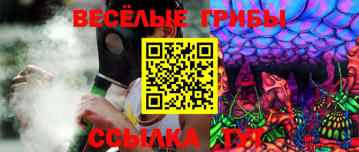 Псилоцибиновые грибы GOLDEN TEACHER Кунгур