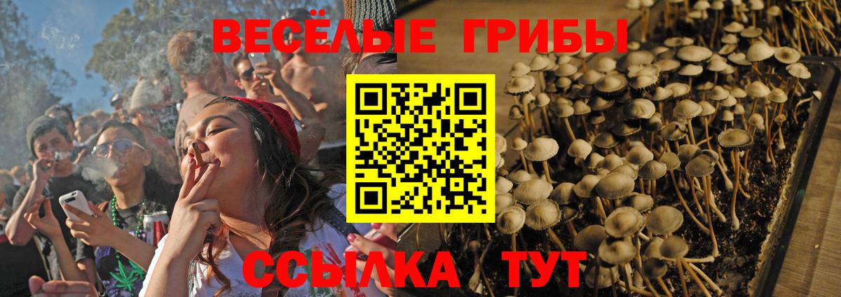 Кунгур  Псилоцибиновые грибы мицелий  Вход с VPN 